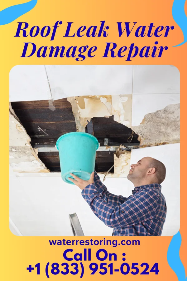 Roof Leak Water Damage Repair in East Cleveland, TN