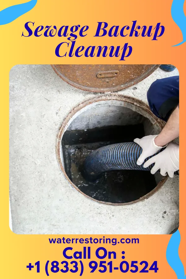 Sewage Backup Cleanup in East Cleveland, TN